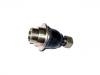 Ball Joint:40160-2S686